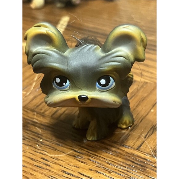 Littlest Pet Shop #141 LPS Authentic Yorkie Shihtzu Dog Blue Eyes Real Hair 2004 - Picture 1 of 5